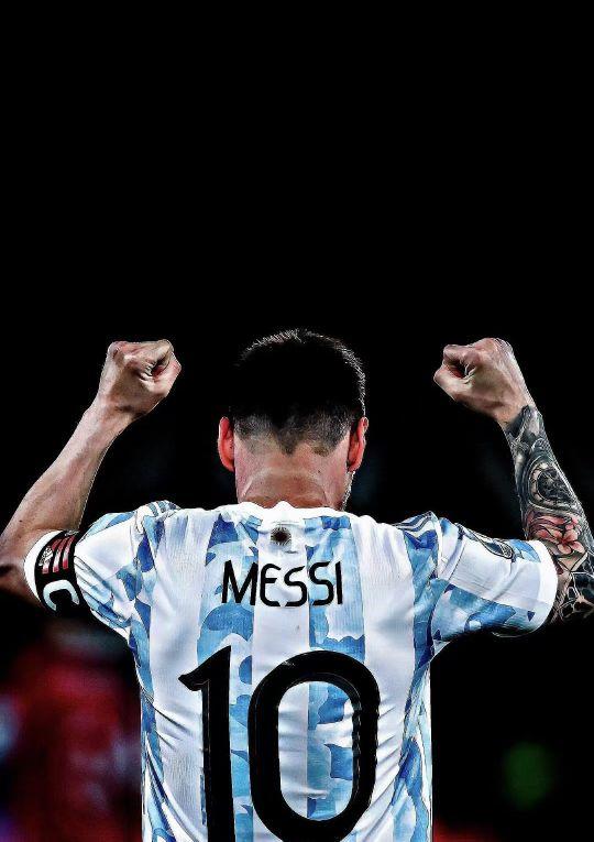 小萨博尼斯 小萨博尼斯