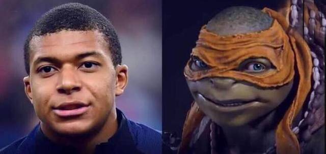 PI的角色 PI的角色