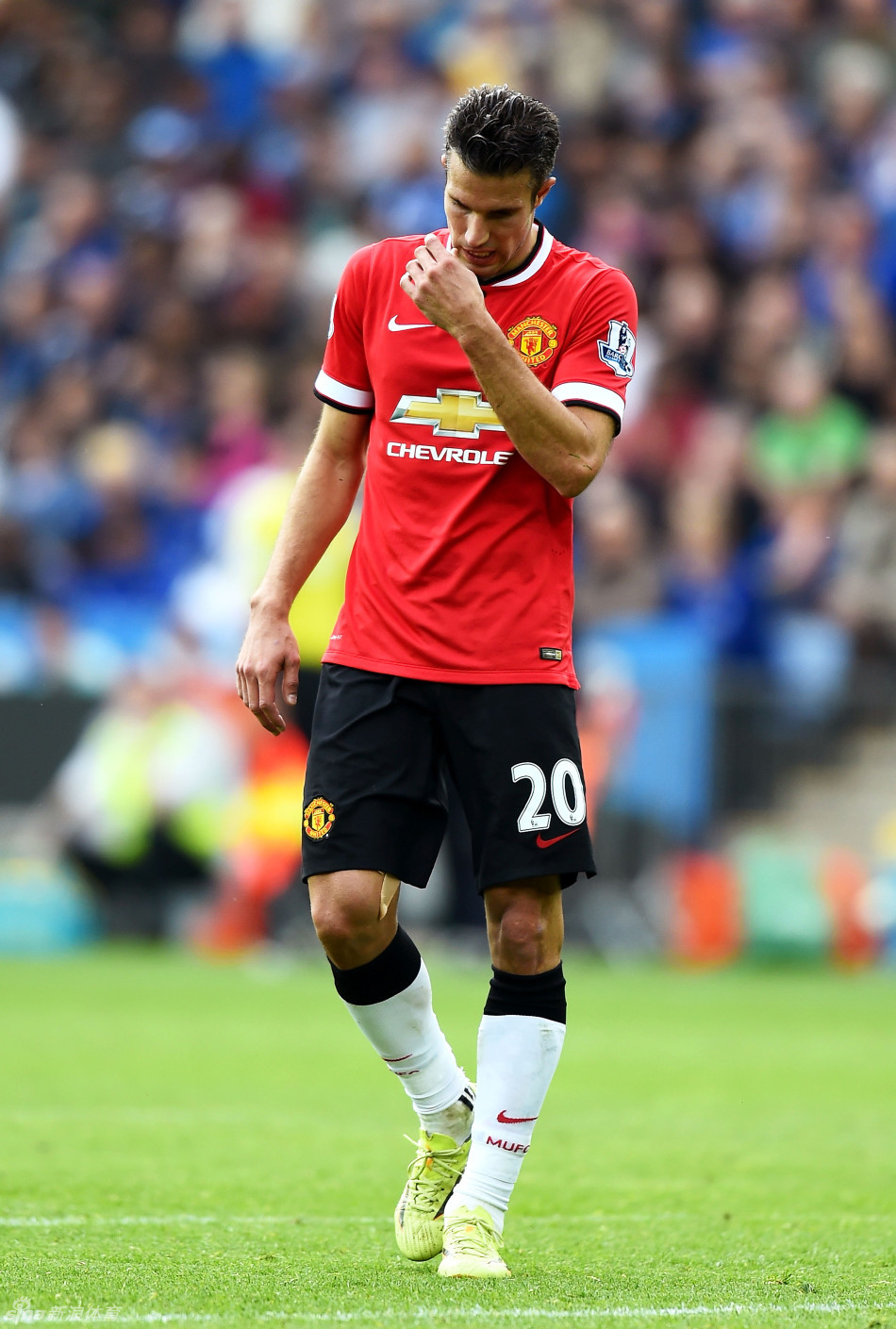 撤步三分终 撤步三分终