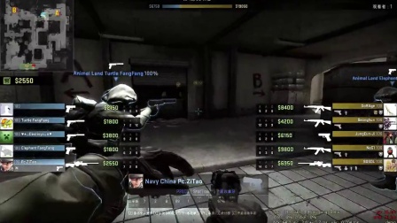 高频下注 高频下注